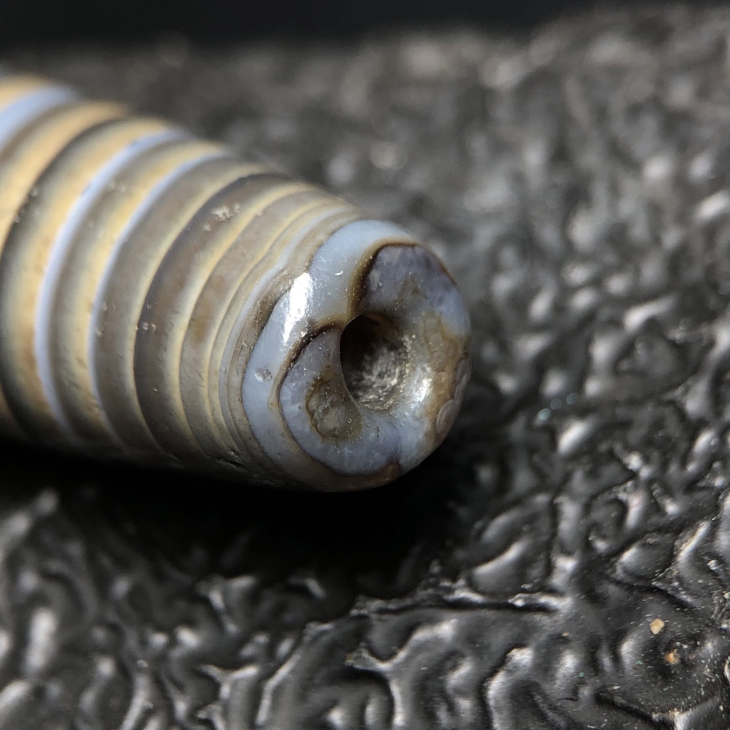 Chinese Natural Agate DZI Beads