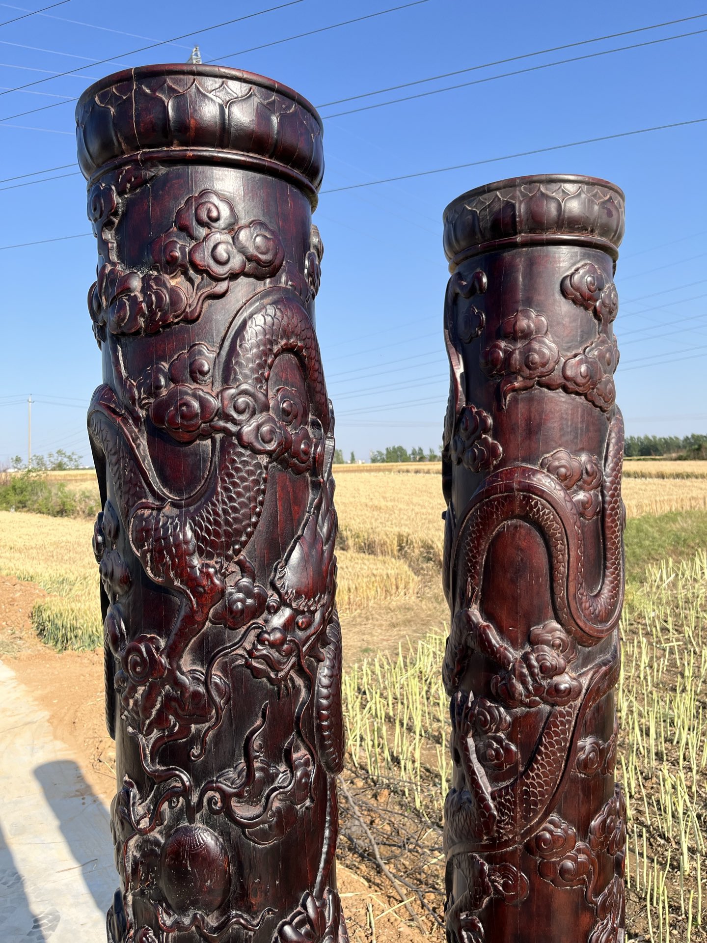 Qing Dynasty Rosewood two dragons playing with beads feng shui pillars
