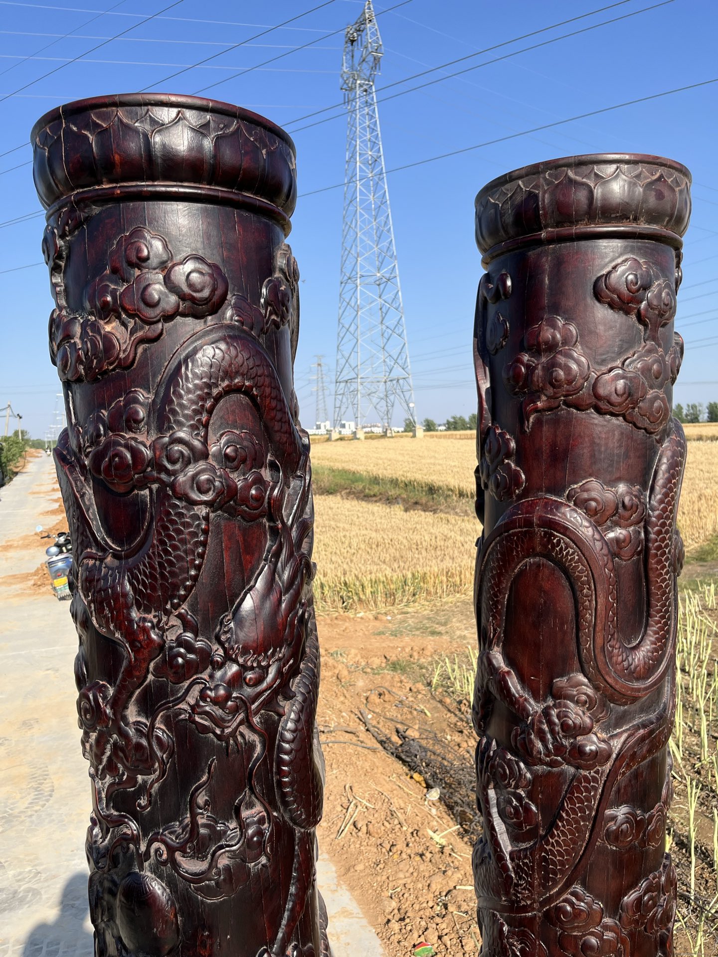 Qing Dynasty Rosewood two dragons playing with beads feng shui pillars