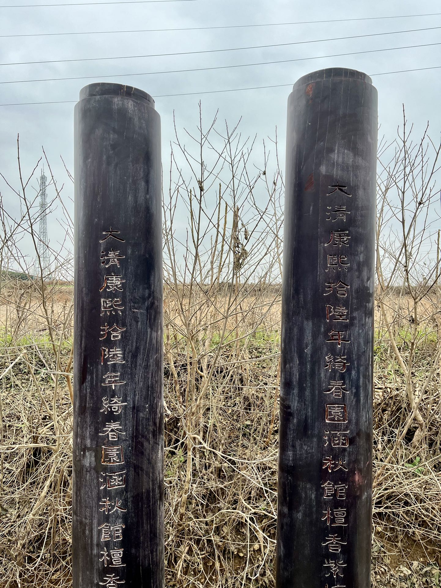 Qing Dynasty Sandalwood hand-carved Chinese characters pair of pillars